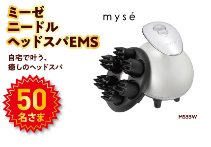 ミーゼ　ニードル　ヘッドスパEMS。50名様