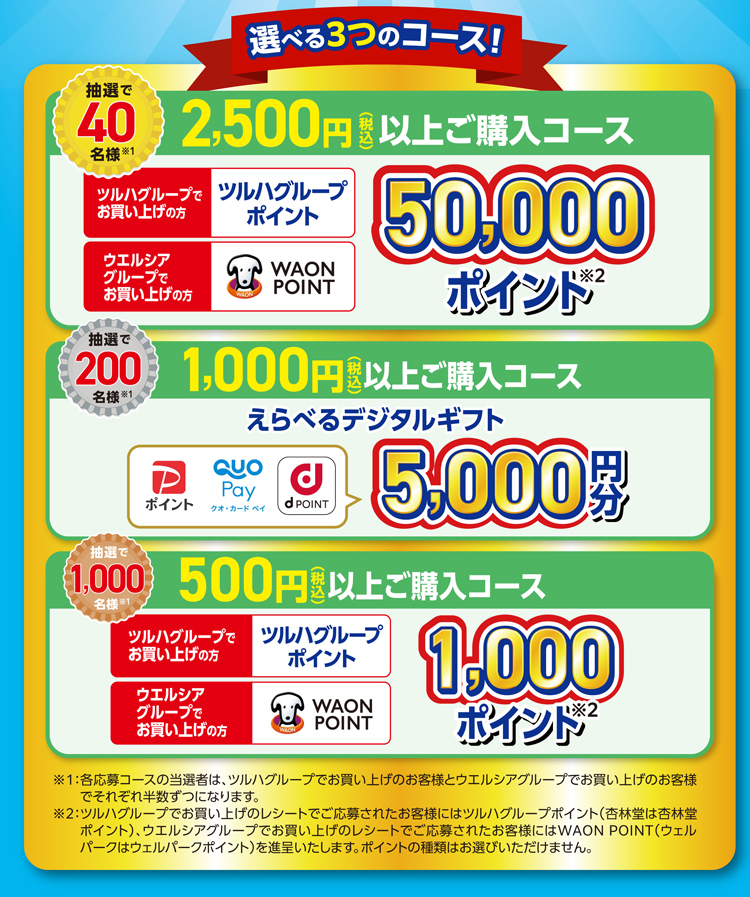 選べる3つのコース！【2,500円(税込)以上ご購入コース：抽選で40名様※1】ツルハグループでお買い上げの方はツルハグループポイントを50,000ポイント、ウエルシアグループでお買い上げの方はWAON POINTを50,000ポイント※2。【1,000円(税込)以上ご購入コース：抽選で200名様※1】えらべるデジタルギフト5,000円分。【500円(税込)以上ご購入コース：抽選で1,000名様※1】ツルハグループでお買い上げの方はツルハグループポイントを1,000ポイント、ウエルシアグループでお買い上げの方はWAON POINTを1,000ポイント※2。※1:各応募コースの当選者は、ツルハグループでお買い上げのお客様とウエルシアグループでお買い上げのお客様でそれぞれ半数ずつになります。※2:ツルハグループでお買い上げのレシートでご応募されたお客様にはツルハグループポイント(杏林堂は杏林堂ポイント)、ウエルシアグループでお買い上げのレシートでご応募されたお客様にはWAON POINT(ウェルパークはウェルパークポイント)を進呈いたします。ポイントの種類はお選びいただけません。