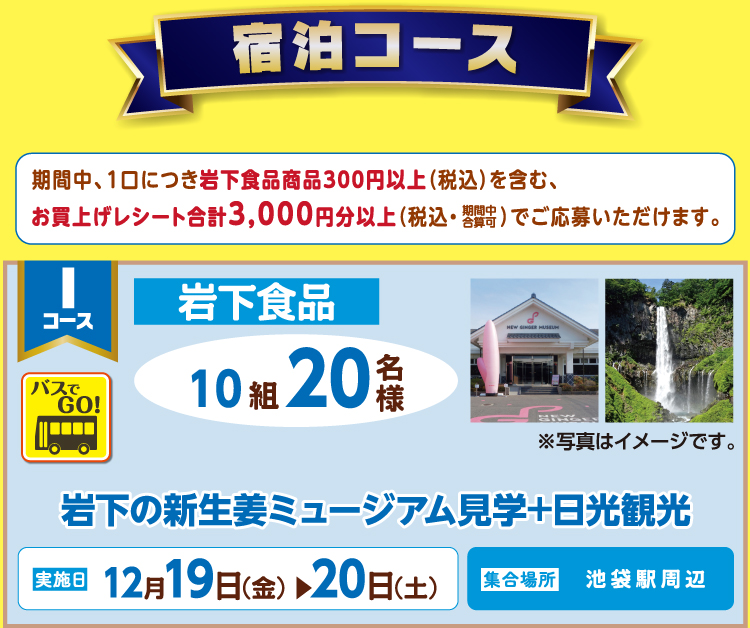 宿泊コース：期間中、1口につき岩下食品商品300円以上(税込)を含む、お買上げレシート合計3,000円分以上(税込·期間中合算可)でご応募いただけます。Iコース（バスでGO!）：岩下食品 10組20名様。岩下の新生姜ミュージアム見学+日光観光。実施日:12月19日(金)▶20日(土)、集合場所：池袋駅周辺